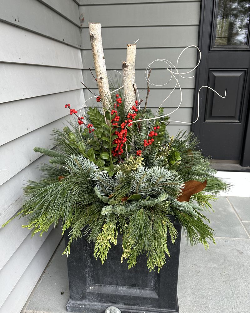 Winter porch pot with birch poles, red winterberry and mixed evergreens